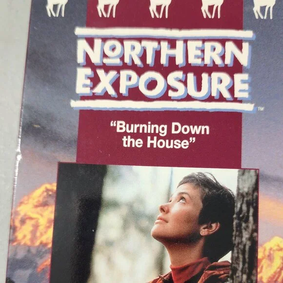 VHS Shows "Northern Exposure." 8 VHS Shows in all. - Picture 10 of 10